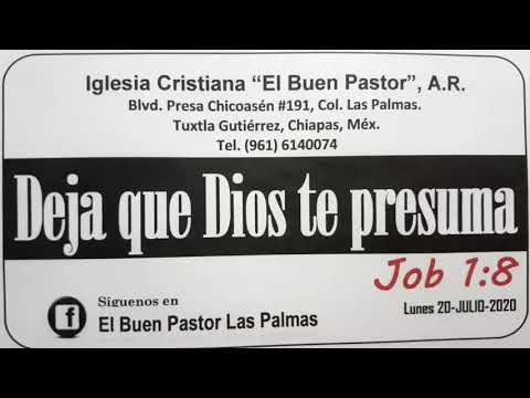 Job 1:8 Reflexión