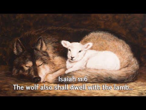 Mandela Effect Debunked - 100% PROOF it is the Wolf and the Lamb in Isaiah 11:6