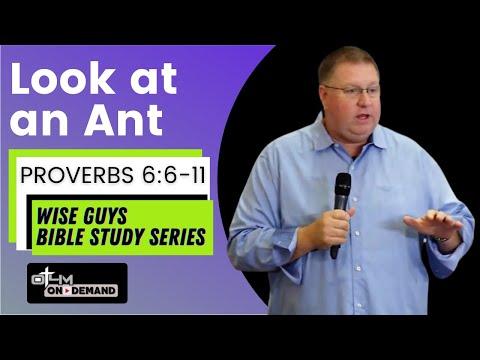 Look at an Ant - Proverbs 6:6-11 | Men's Bible Study