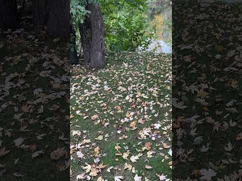 394.  Coffee Break (express) Praise God at all times.