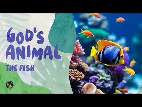 God's Animal - The Fish | Preschool