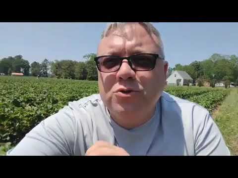 Matthew 3:8. Bear fruit worthy of repentance!