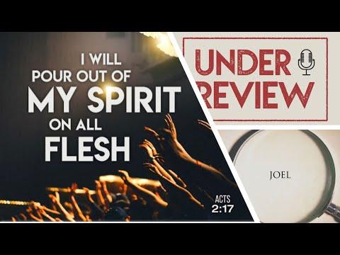 Joel 2:28 &amp; Acts 2:17  | UNDER REVIEW with good reason
