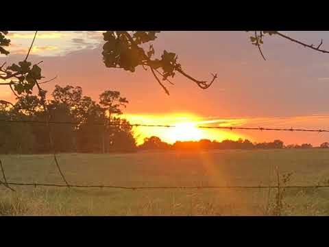 Scripture Verse By Verse  (2022)  First Kings 15:7-23