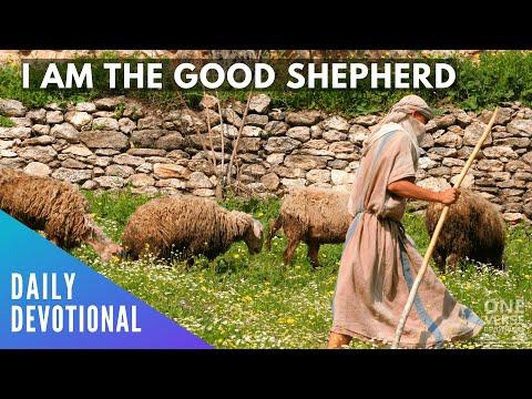 I AM the Good Shepherd | John 10:14 [Daily Devotional]