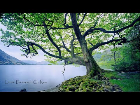 Lectio Divina - Psalm 18:37-42