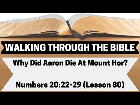 Why Did Aaron Die At Mount Hor? [Numbers 20:22-29][Lesson 80][WTTB]