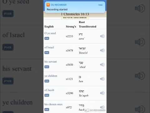 1 Chronicles 16:13 in The Hebrew