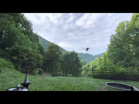 Day 188~ July 7~ 1 Chronicles 4:5-5:17, Acts 25:1-27, Psalm 5:1-12, Proverbs 18:19