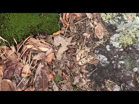 True Belief... Romans 1:8, 1:16-17, 2:13, 2:28-29, 3:27-31, 5:1-2