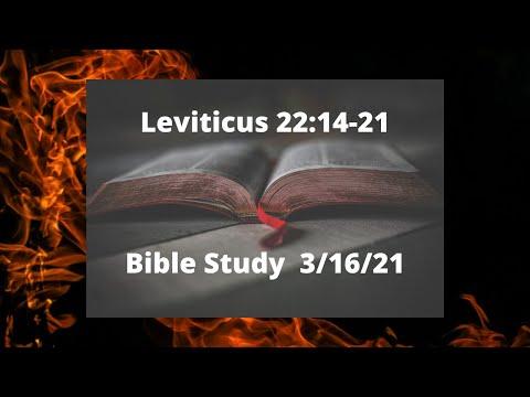 Leviticus 22:14-21