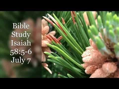 The Fast That I Have Chosen. Isaiah 58:5-6 Bible Study 7