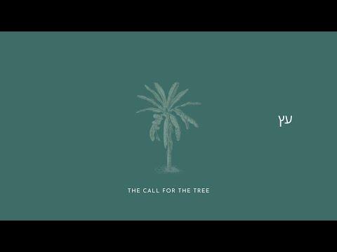 The Call For The Tree: Exodus 15:25