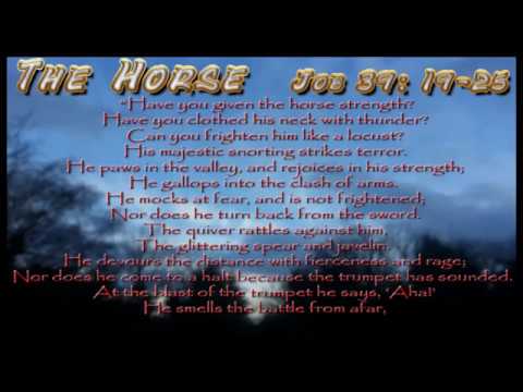 The Horse    Job 39:19-25