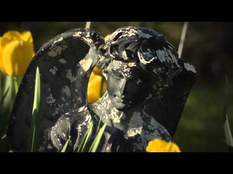 FLBC Daily Devotion Proverbs 14:32