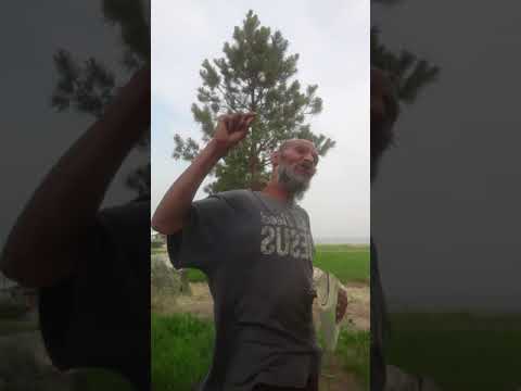 Give Glory Saints ????❤ Servants,Children of The Most High ???? ???? God Reading Psalms 119:1-18