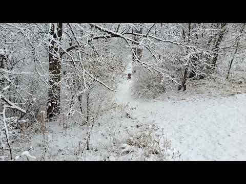 Coffee Break   (5 Minutes with God) Psalm 145:9-13