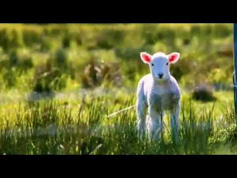 God's Word # May 20 2021 # அப்போஸ்தலருடைய நடபடிகள் / Acts 27:24 # Pastor.Prabhakar