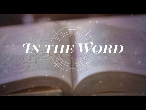 Fight The Good Fight, 1 Timothy 6:11-16 (Rick Conrad)