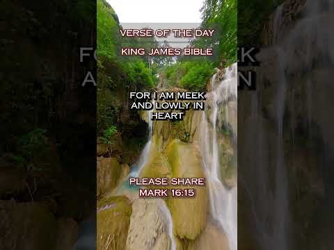 VERSE OF THE DAY - Matthew 11:28-30 #DailyScripture #BibleVerse #ChristianShorts #ScriptureOfTheDay