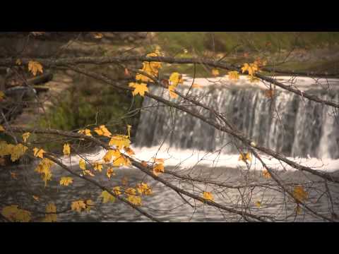 FLBC Daily Devotion Psalm 66:4