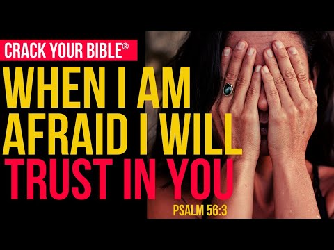 Late Night Encouragement | Fear & Hope | Psalm 56:3