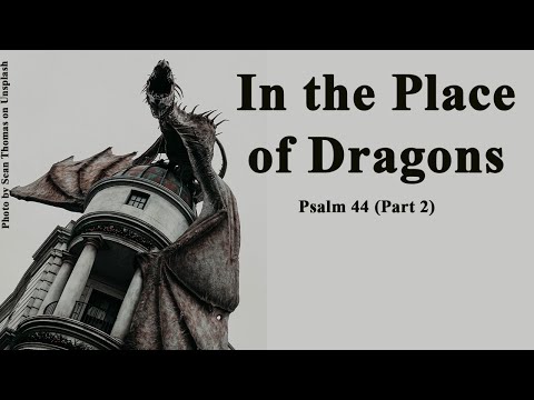 Psalm 44:15-16; May 23, 2022