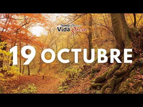 Tu tiempo con Dios 19 de Octubre de 2022 Genesis 37:12-24