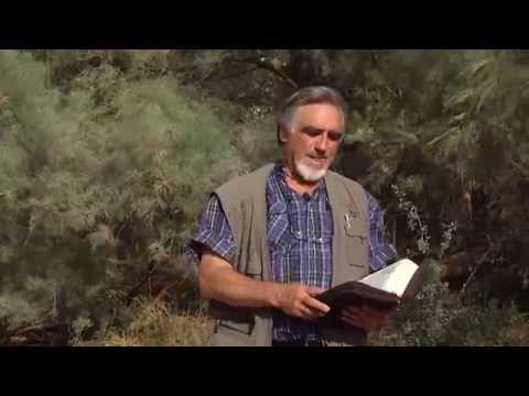 11. Abraham Sends Hagar Away - Genesis 21:14-21