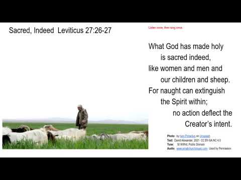 Leviticus 27:26-27  Sacred, Indeed