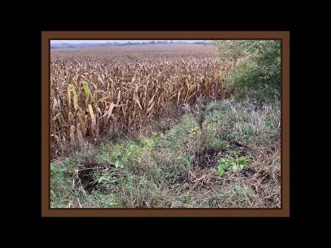 Coffee Break (5 Minutes with God) Psalm 34:15-20