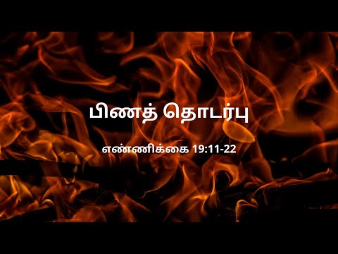 எண்ணிக்கை 19:11-22 | Daily Bible RC | Numbers 19:11-22