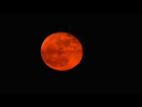 Blood Moon 2days in a row Dec-4-17 "Joel 2:31" Bible warns us. What's answer R U buying?