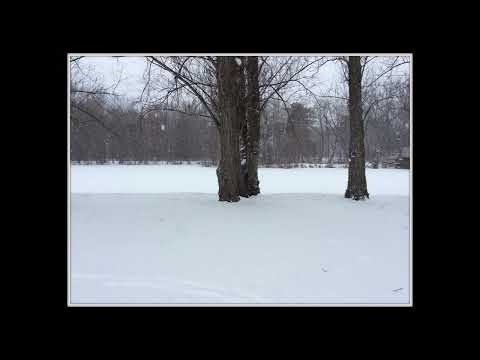 Coffee Break (5 Minutes with God) Psalm 45:4-6