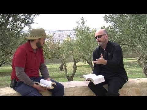 Luke 13:6-9 FIg Tree Parable