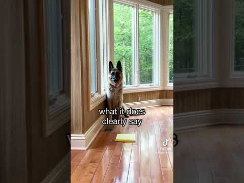 Proverbs 3:5-6❤️