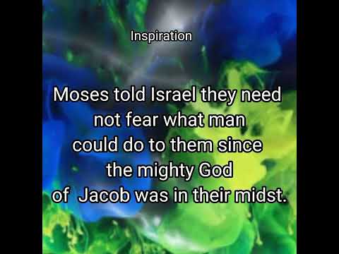 Spiritual Soul Food Deuteronomy 7:21 #godisgood #worshiphimchannel #Deutoronomy7:21