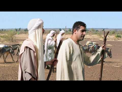 Whirlwind Tour of Old Testament (Week 7/36 - B) Genesis 45:14-46:7 Reading by Rev. Rhoda