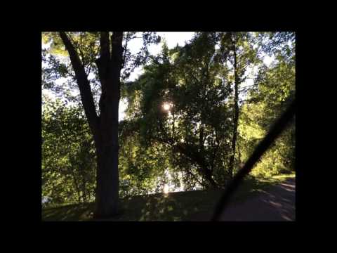 Gen Rev  Job 30:1-31:28