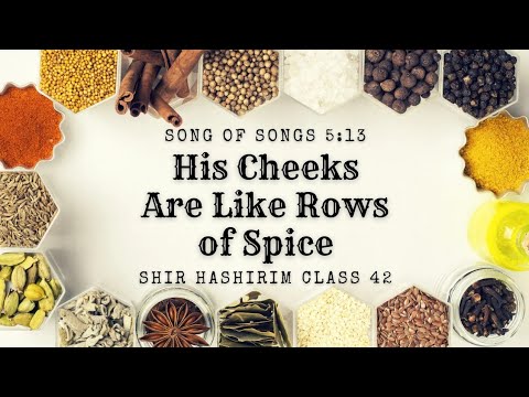 Ten Commandments & Sacrifices | Song of Songs 5:13 | Shir haShirim Class 42
