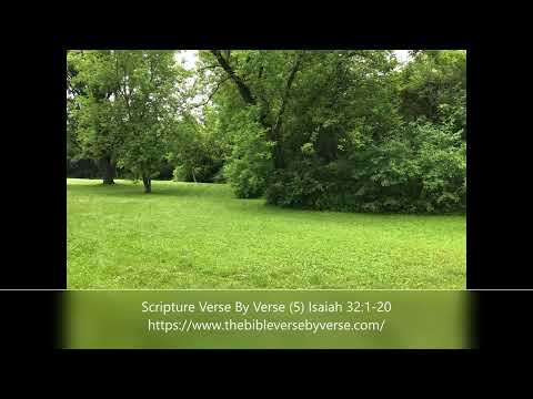 Scripture Verse By Verse (5) Isaiah 32:1-20