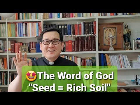 Today's Holy Gospel: homily and reflection: Matthew 13: 18-23 (24/07/2020) Fr Andrew Lee