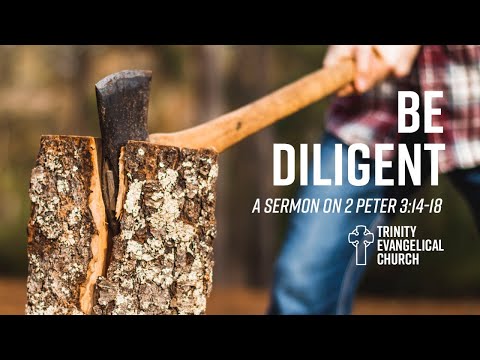 “Be Diligent” 2 Peter 3:14-18 - Trinity Evangelical Church - May 17, 2020