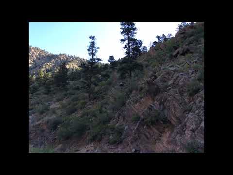 Coffee Break (5 Minutes with God) Psalm 112:7-10