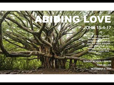 SUNDAY SCHOOL LESSON, NOVEMBER 8, 2020, ABIDING LOVE, JOHN 15: 4-17