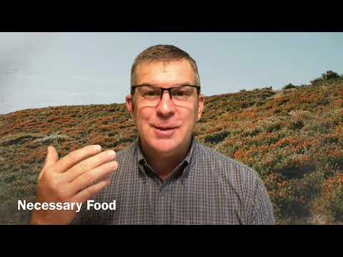 Jesus is merciful, upright and pure - 2 Samuel 22:22-28