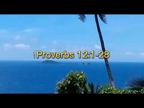 Proverbs 12:1-28 #wordofgod #god