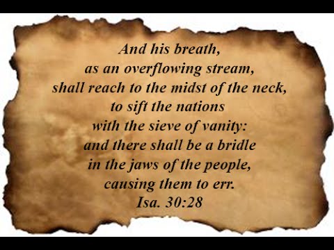 Isaiah 30:28
