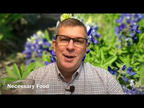 Taste and see that the Lord is good - Psalm 34:8