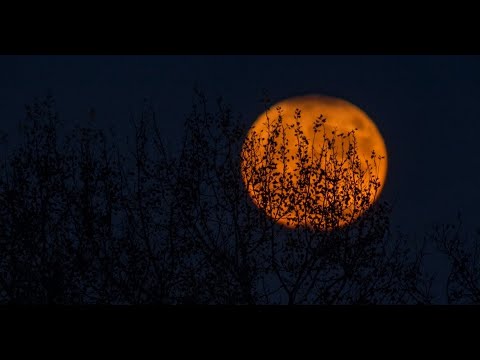 Halloween, a Biblical response to a modern controversy - ChristianCoffeeTime